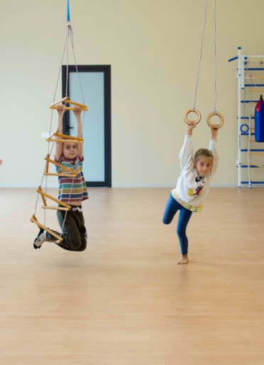 2in1 Swings Set: Triangle rope ladder + Gymnastic rings 2in1 Swing Set Goodevas   