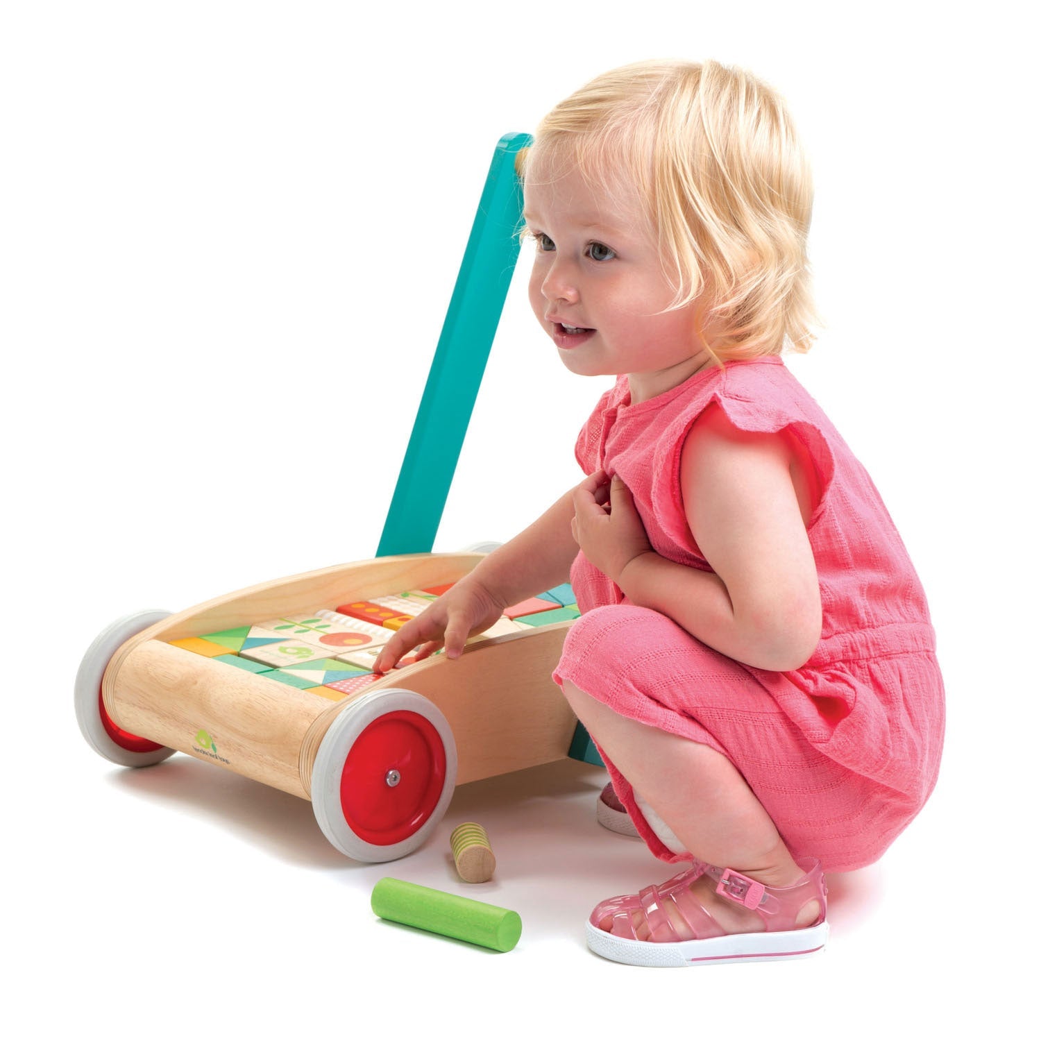 Baby Block Walker  Tender Leaf   