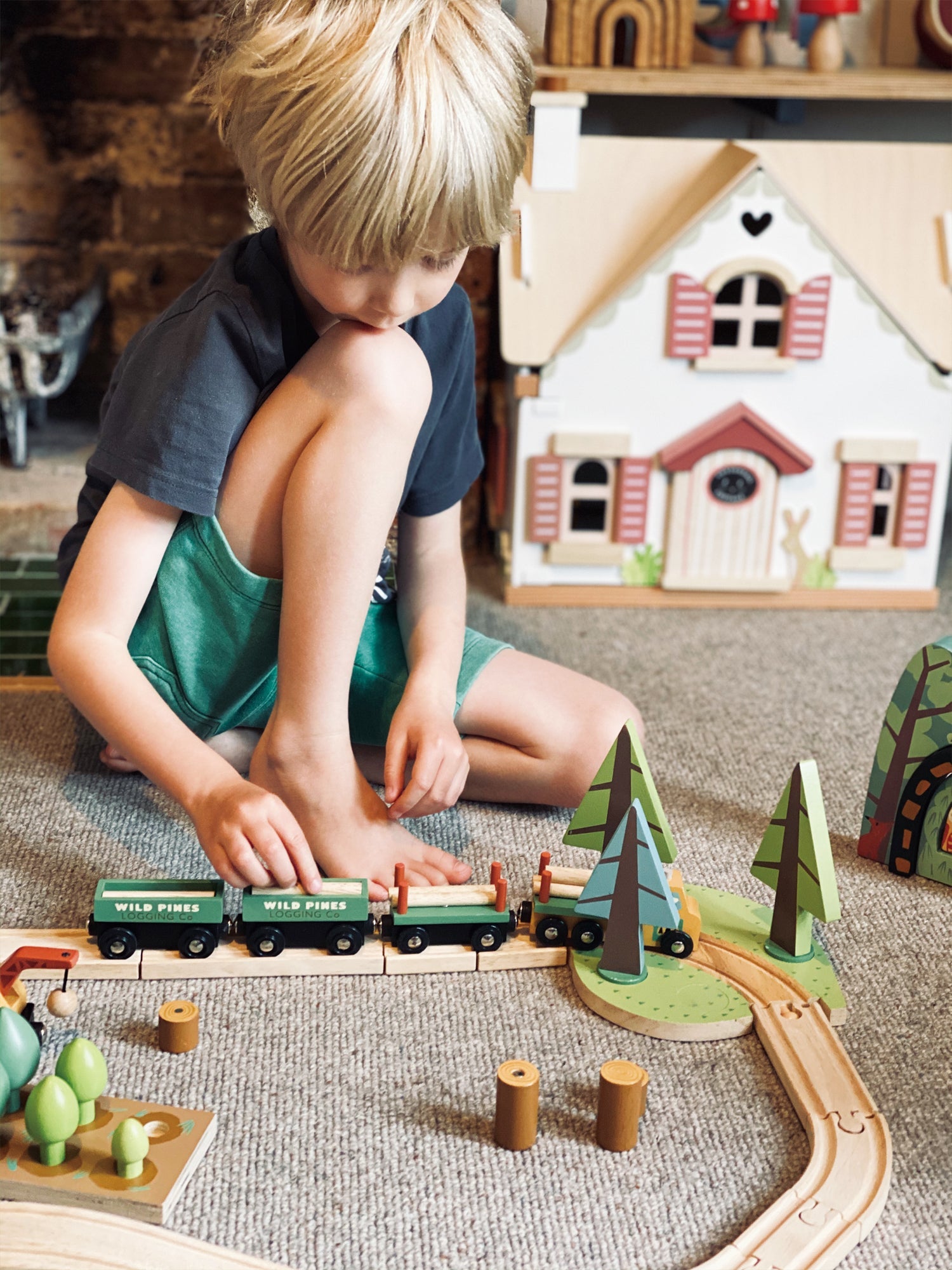 Wild Pines Train Set  Tender Leaf   