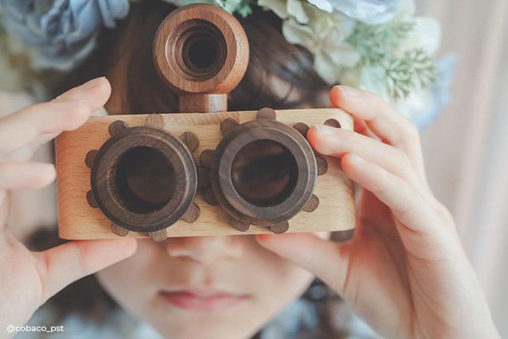 Twinkle Camera - Beechwood Camera Body W/ Walnut Lens wooden toy Father's Factory   