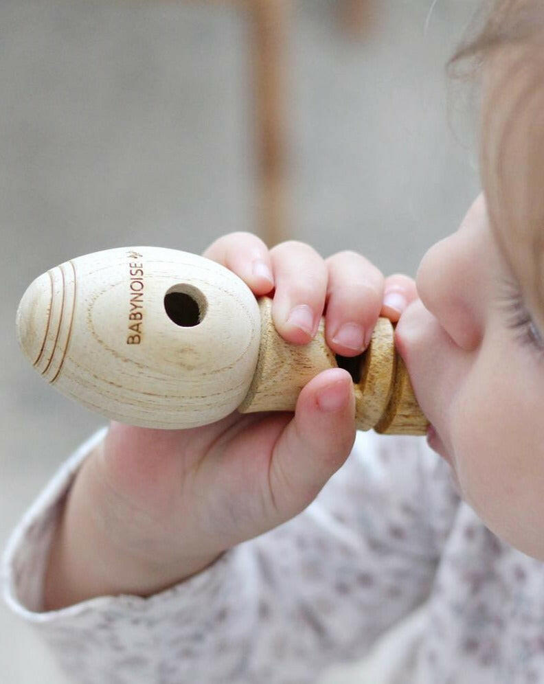 Bird Whistle Musical Toys Babynoise   