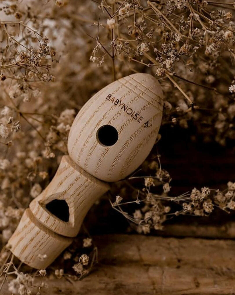 Bird Whistle Musical Toys Babynoise   