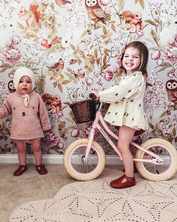Banwood First Go Push Bike for Toddlers in Pink
