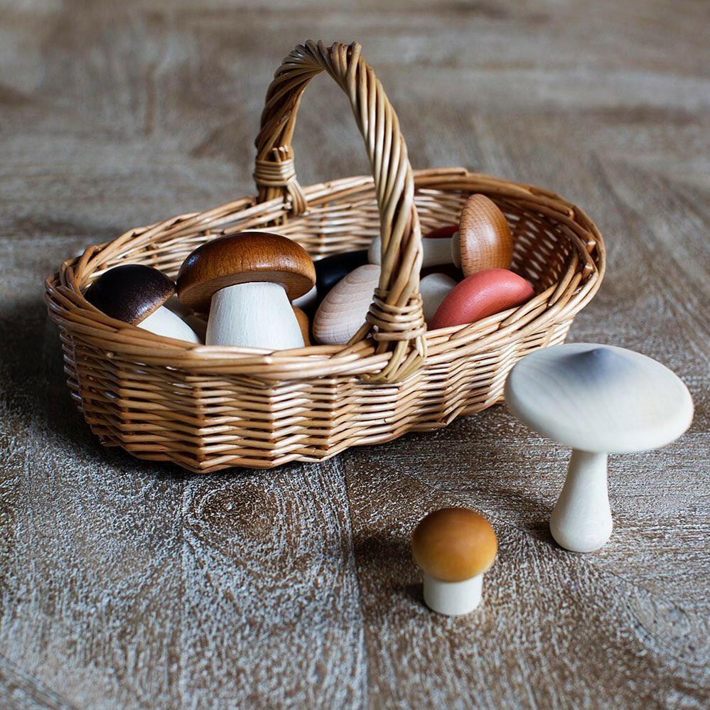 Forest Mushrooms in a Box Educational Toys Moon Picnic   