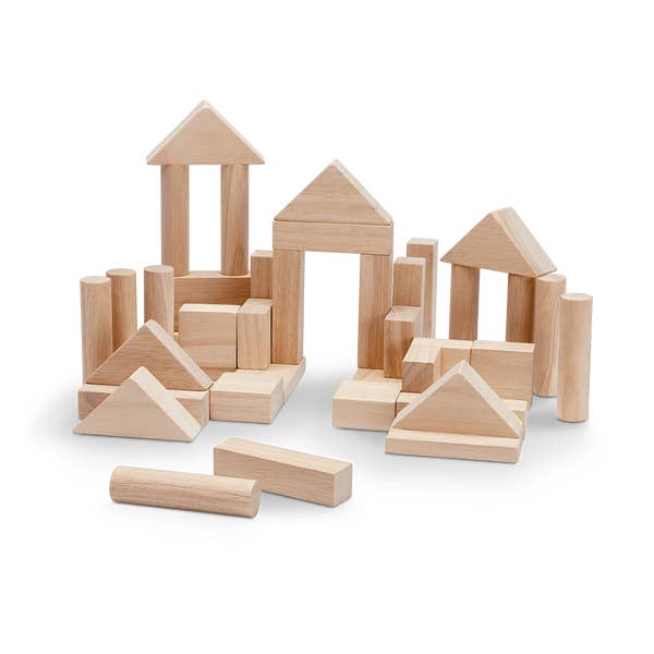 Natural Wooden Blocks 40pc Kids Toys PlanToys   