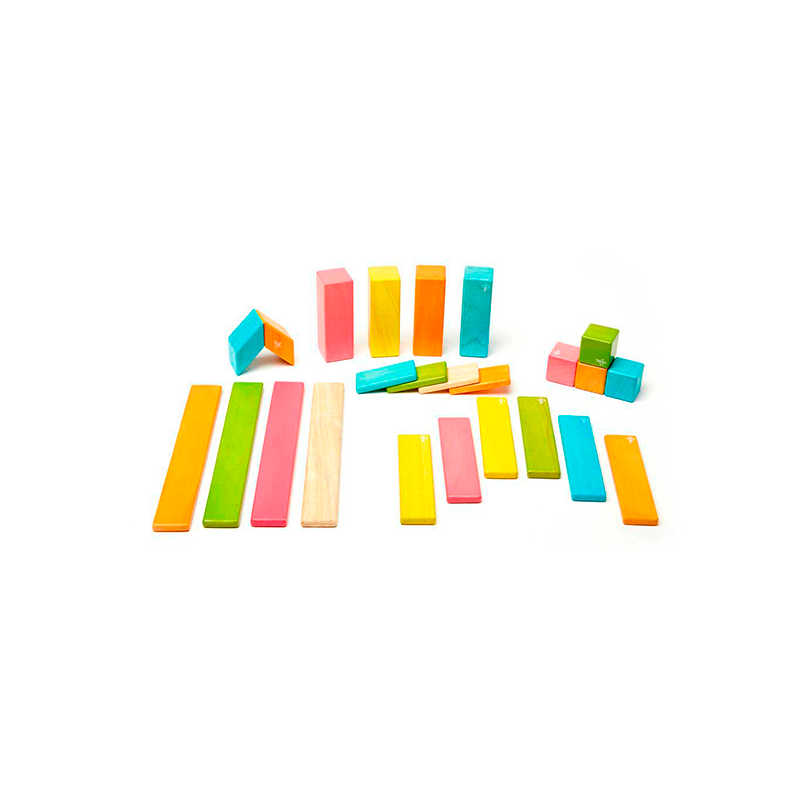 Tegu Classics 24-Piece Set Magnetic Wooden Blocks Kids Toys Tegu   