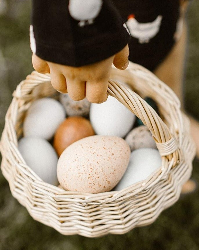 A Dozen Bird Eggs in a Box | Moon Picnic