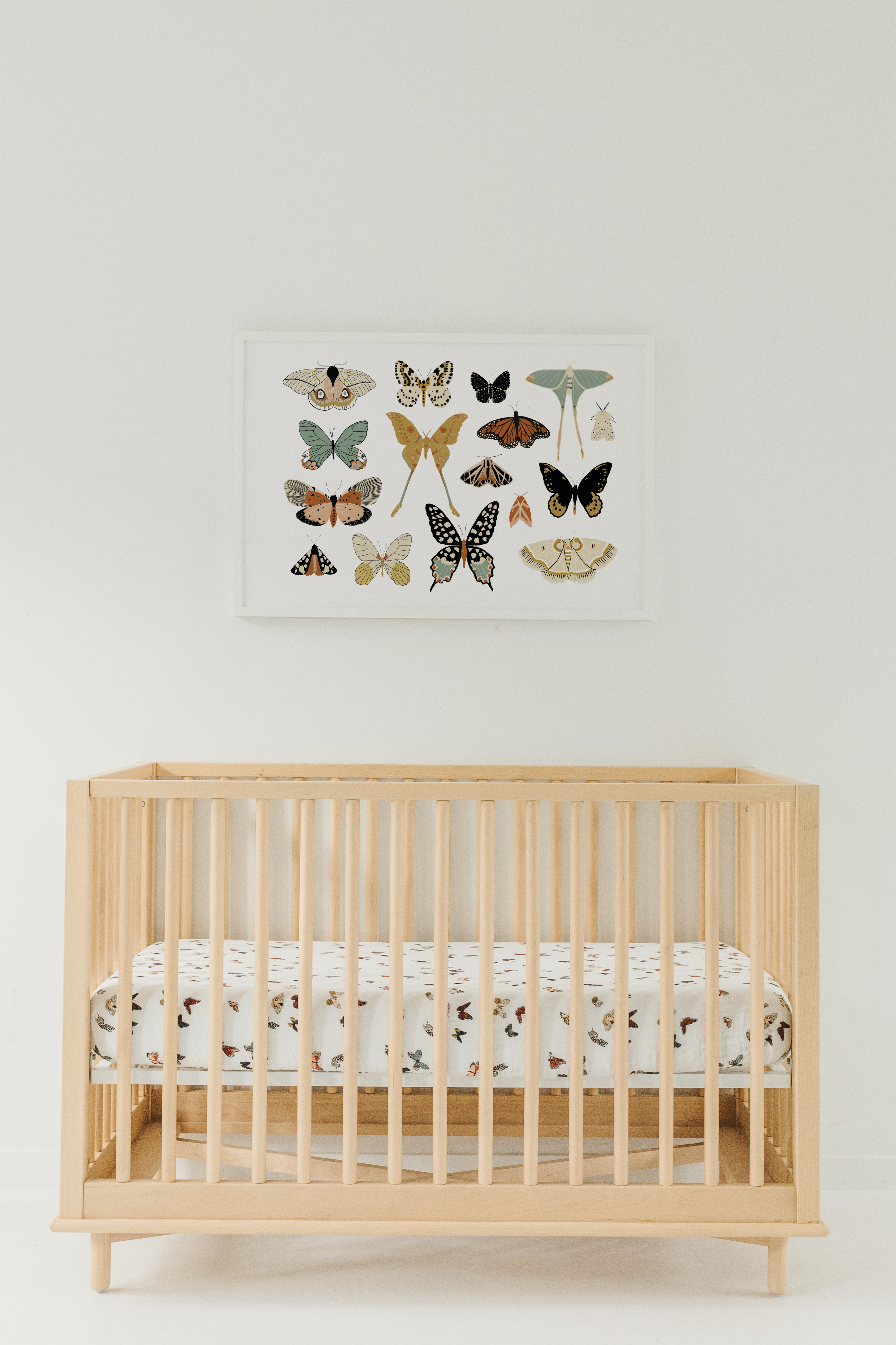 Butterfly Migration Crib Sheet Crib Sheets Clementine Kids   