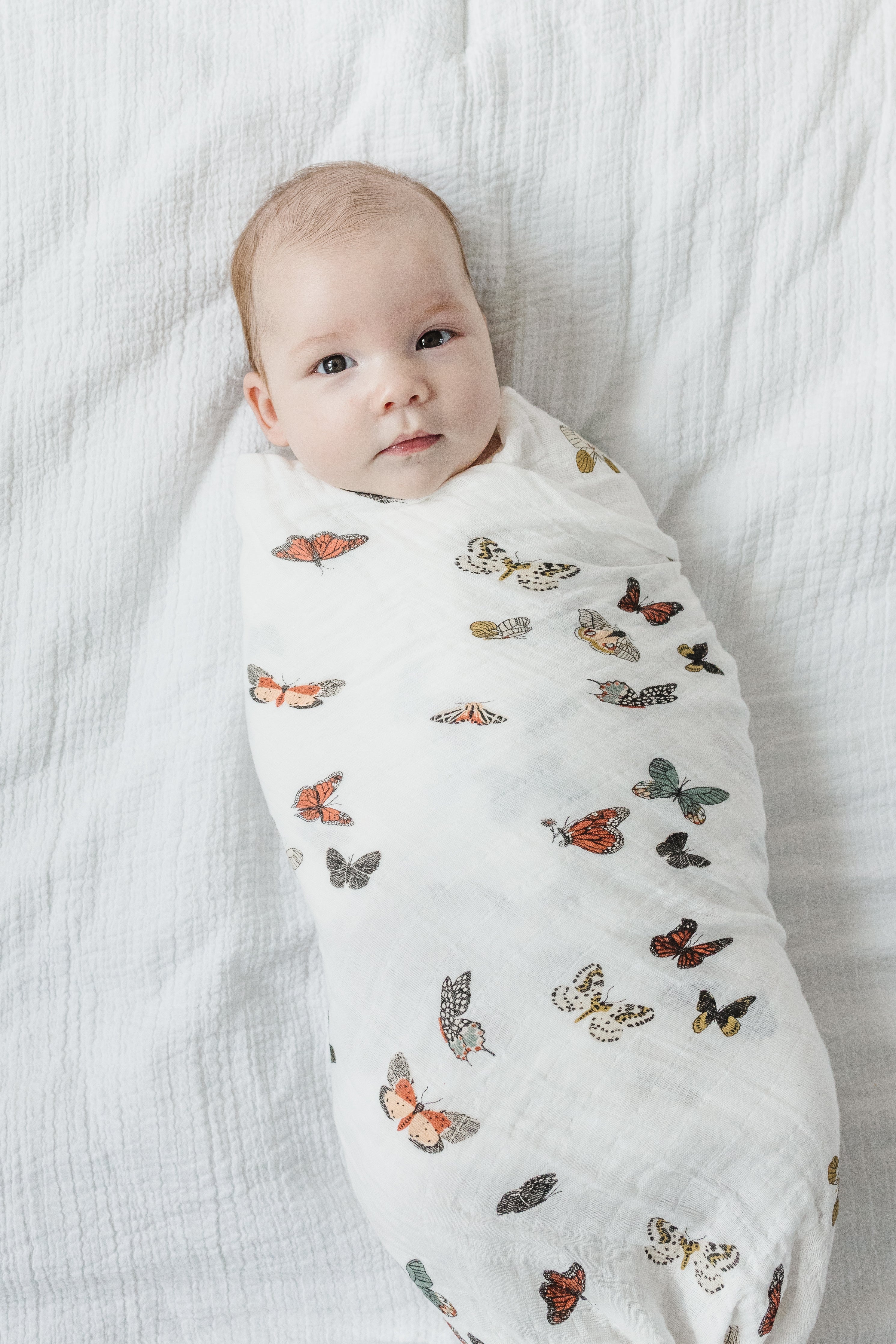 Butterfly Migration Swaddle Swaddles Clementine Kids   