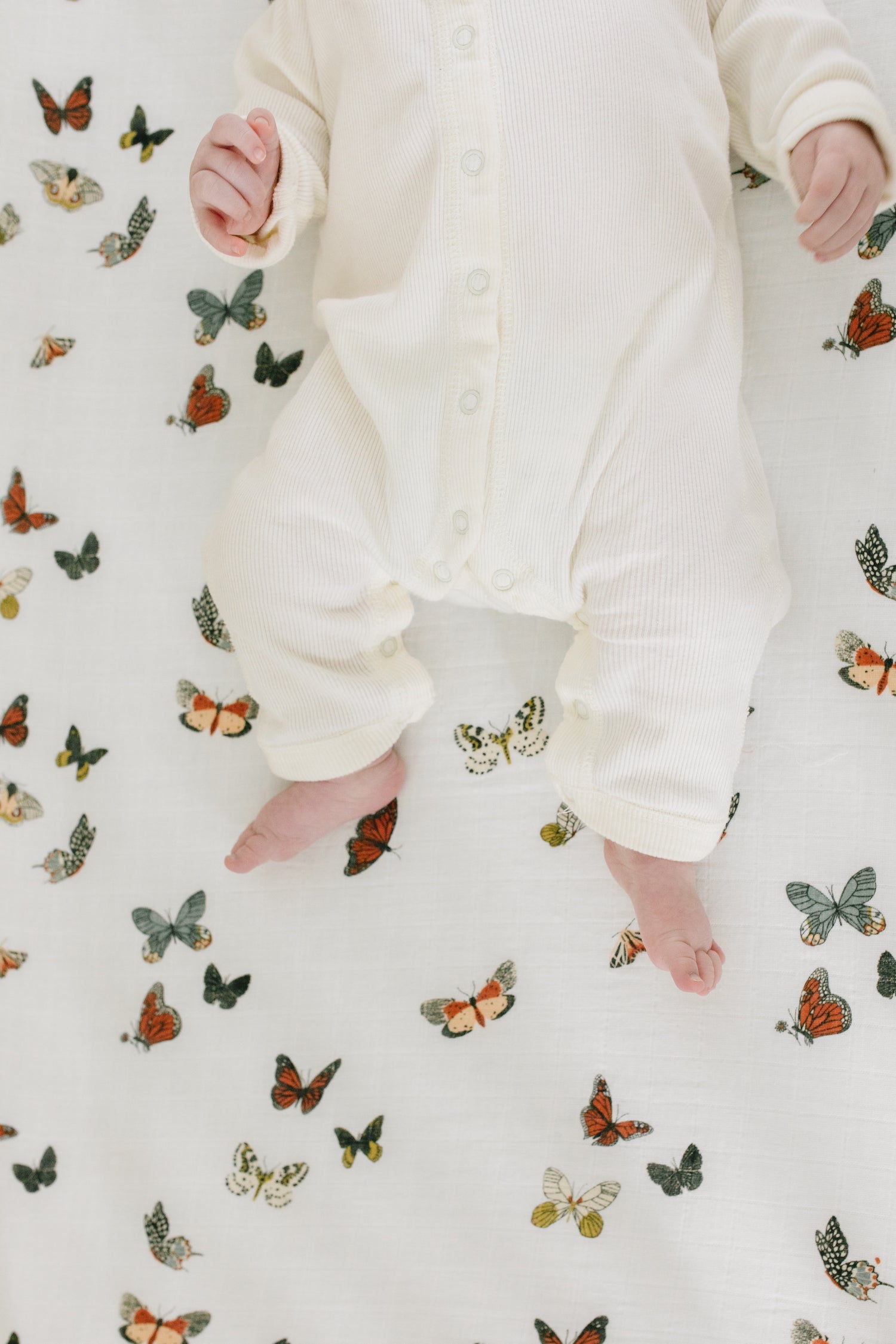 Butterfly Migration Crib Sheet Crib Sheets Clementine Kids   