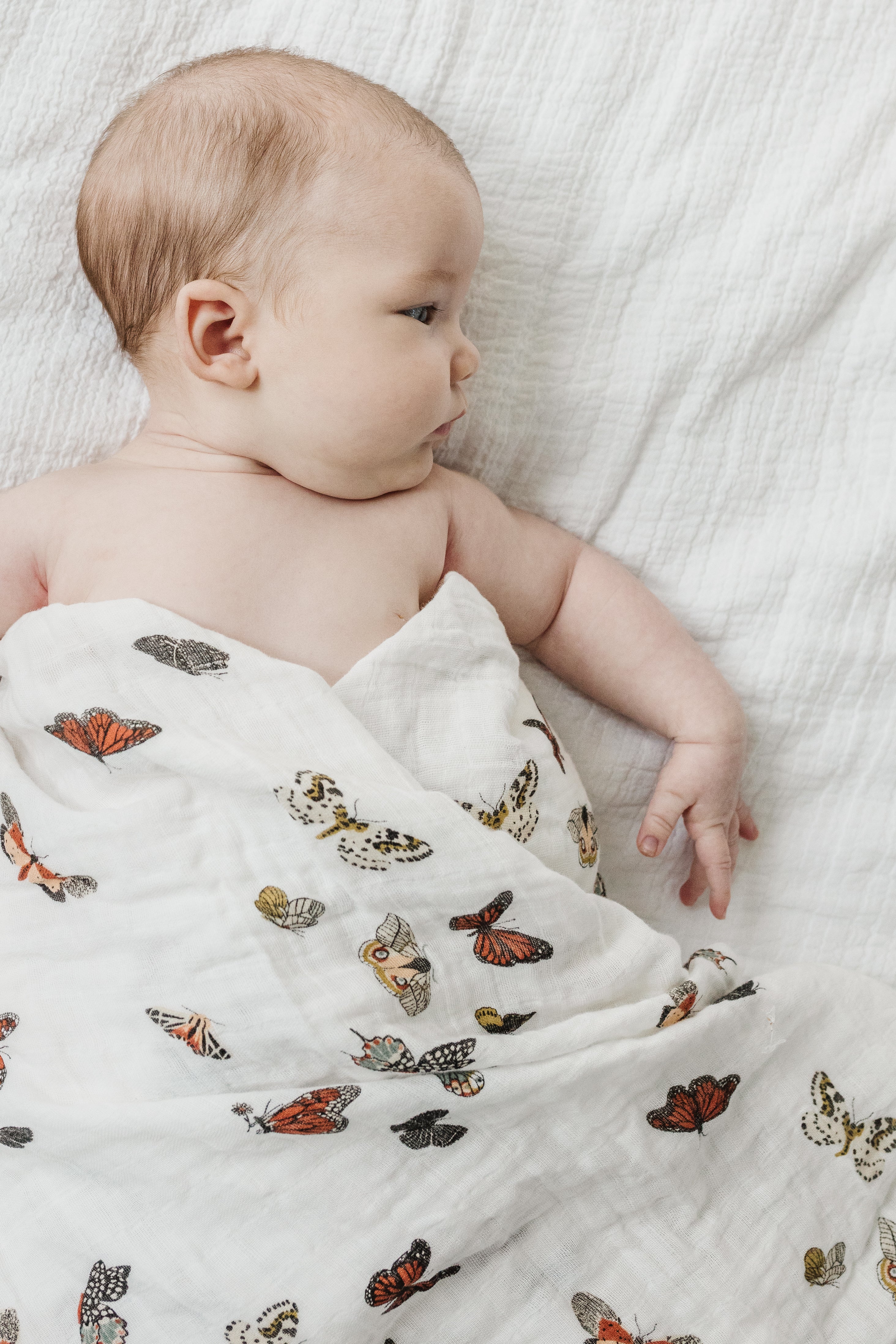 Butterfly Migration Swaddle Swaddles Clementine Kids   