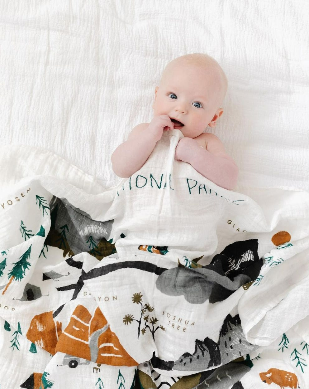 National Parks Swaddle Baby Essentials Clementine Kids   