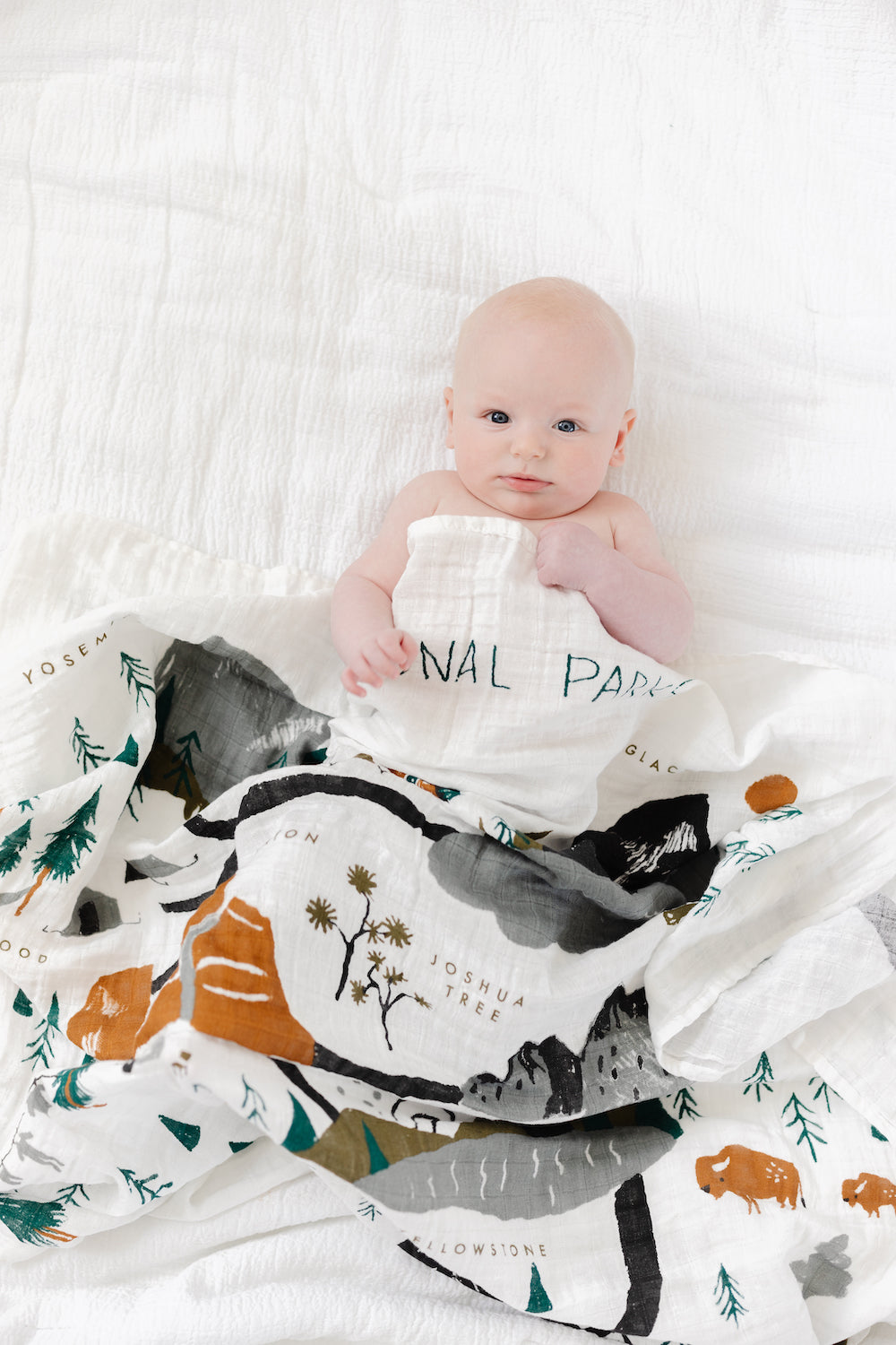 National Parks Swaddle Swaddles Clementine Kids   