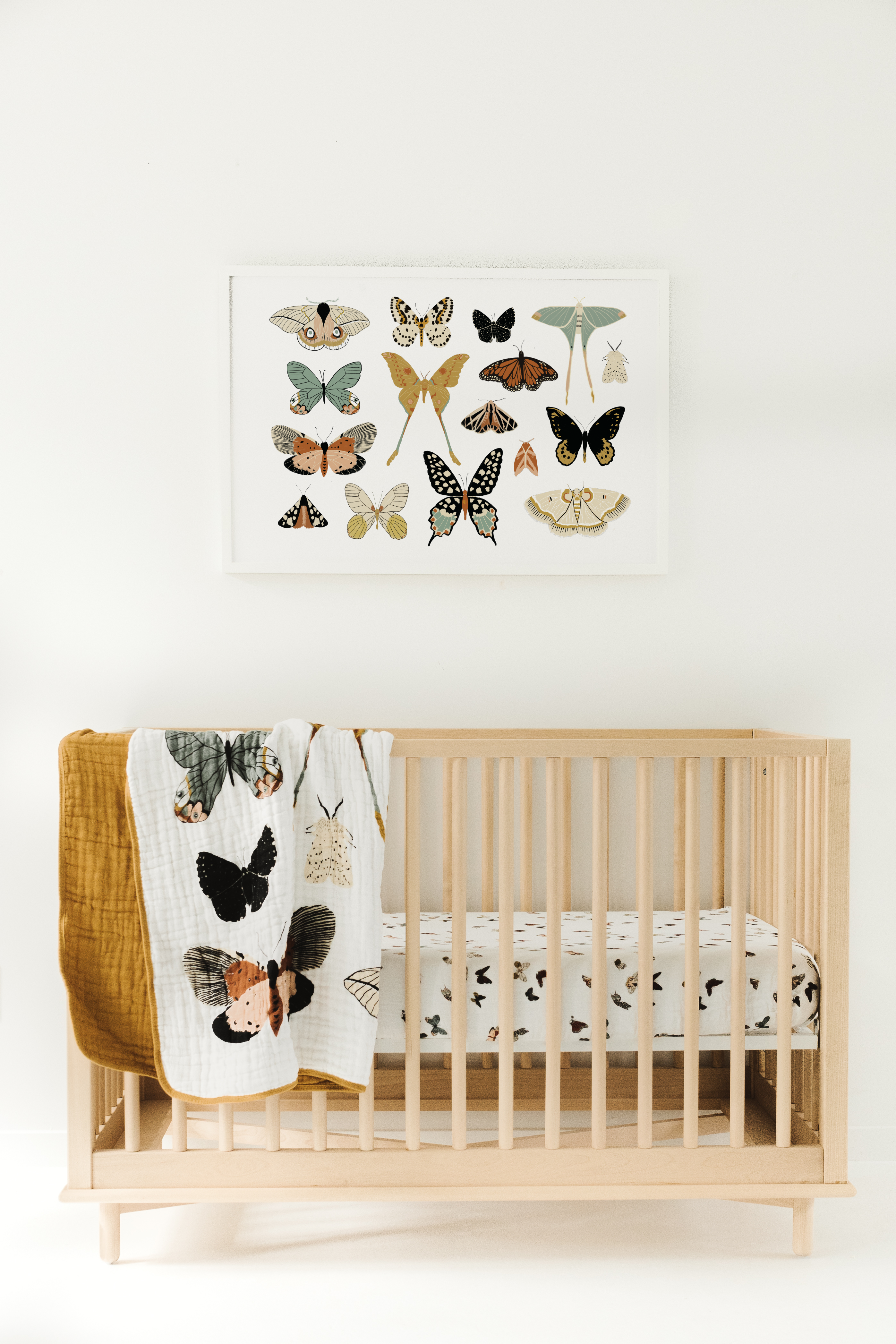 Butterfly Collector Quilt Quilts Clementine Kids   