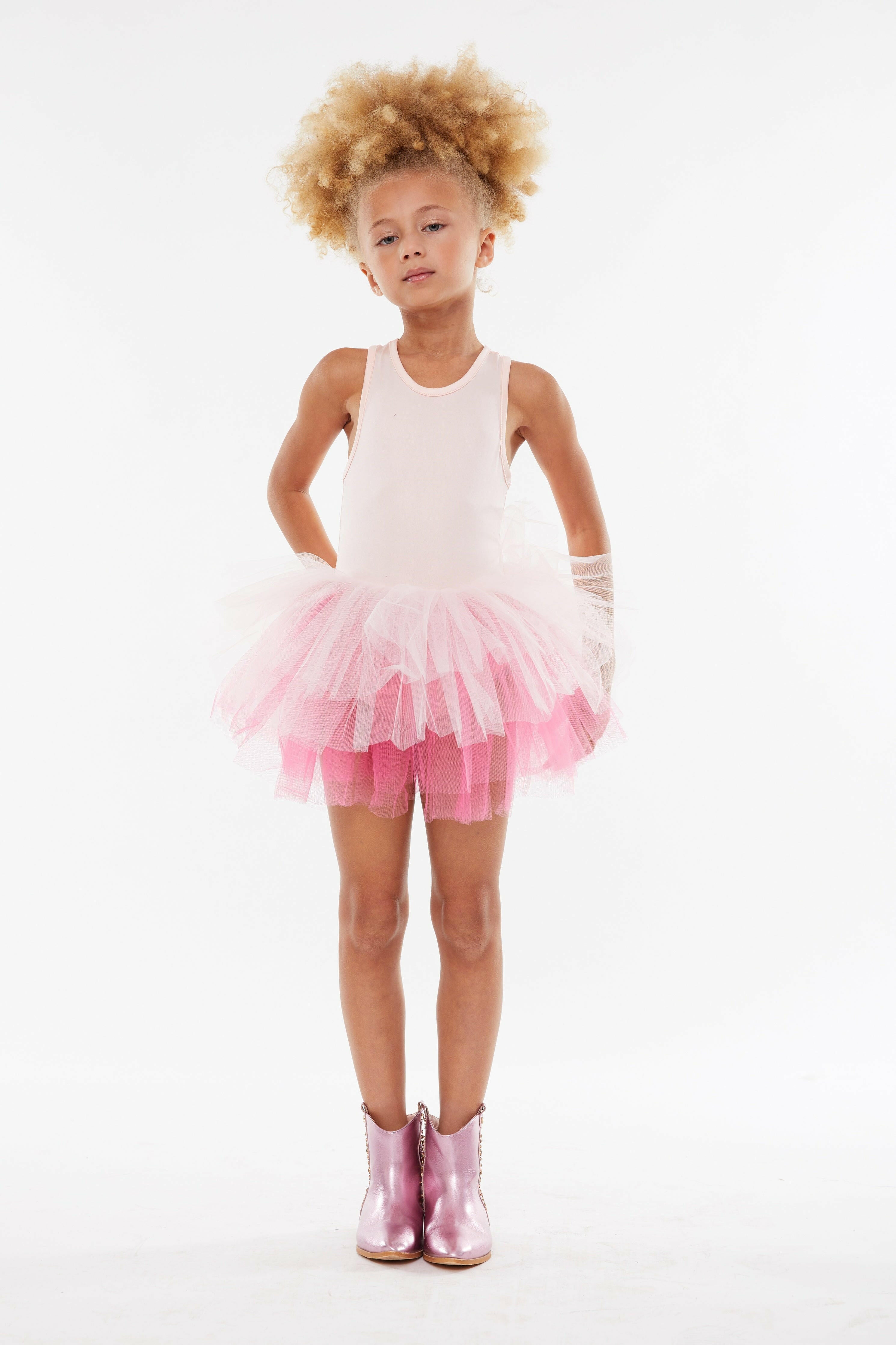 B.A.E. Ombré Tutu Dress Tutus iloveplum   