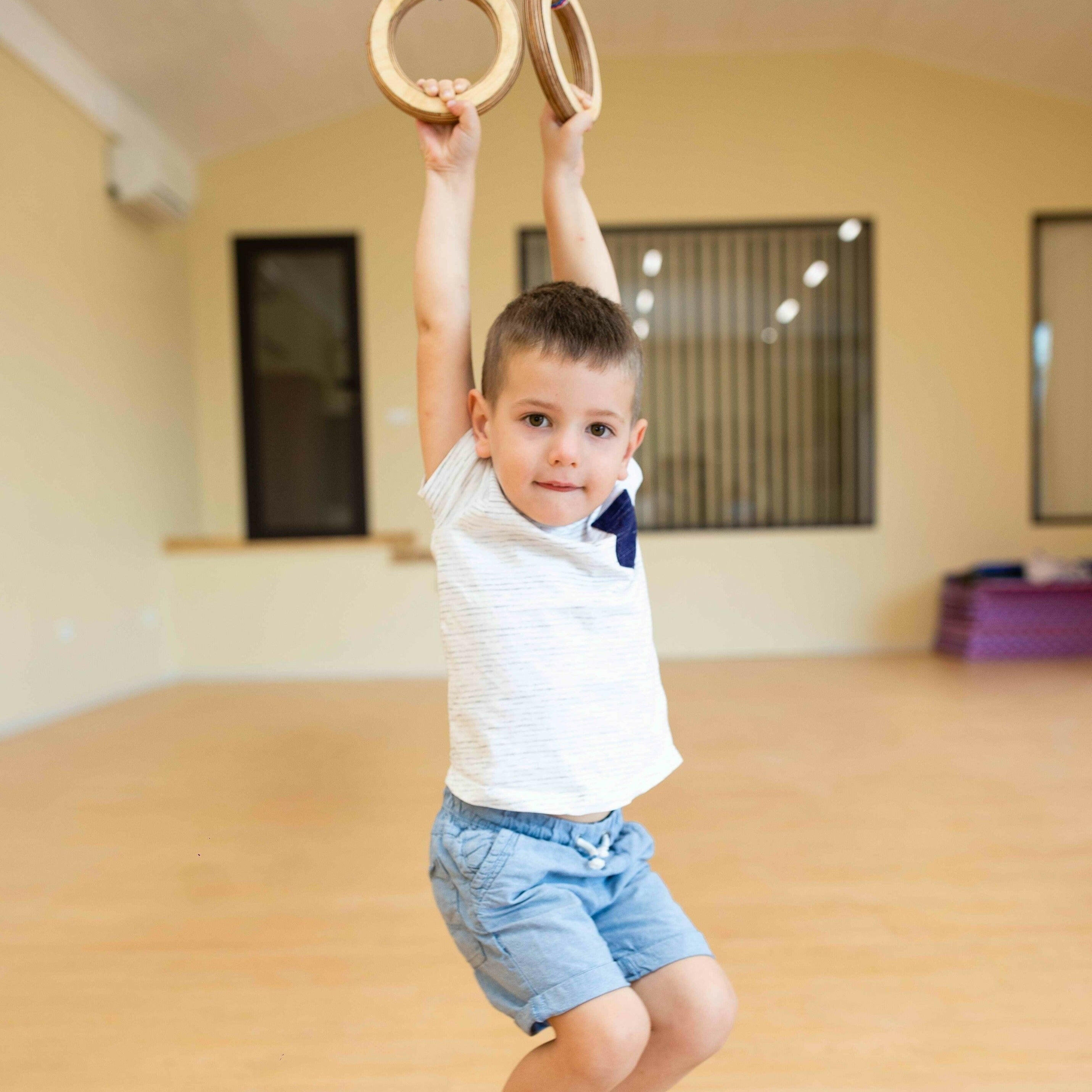 4in1 Swings Set: Rope ladder + Gymnastic rings + Disc swing + Trapeze bar with rings 4in1 Swing Set Goodevas   