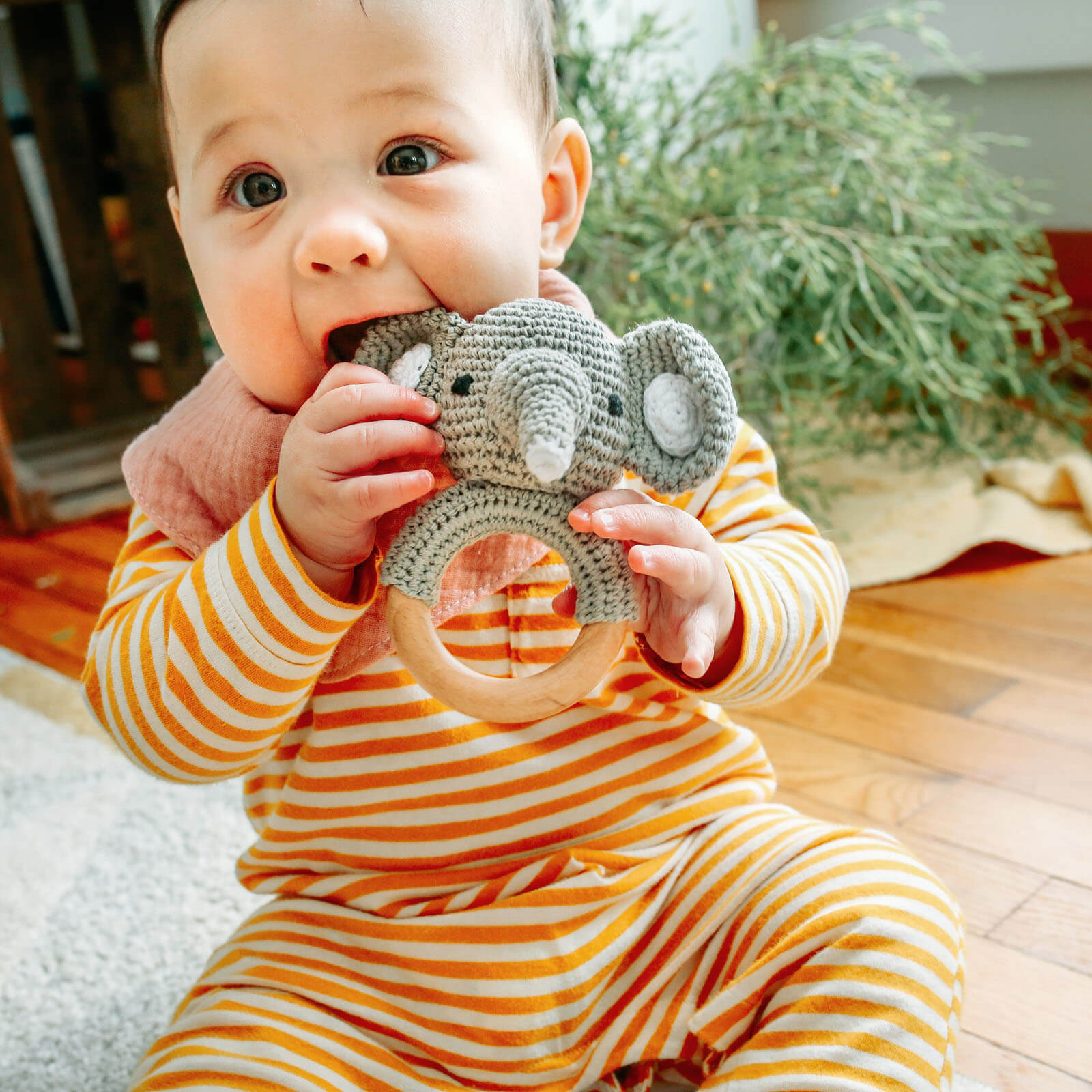 Animal Wooden Rattle Rattles embé®   