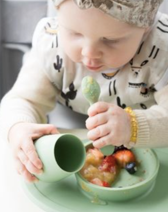 ezpz First Foods Set, Sage – Loop Kids