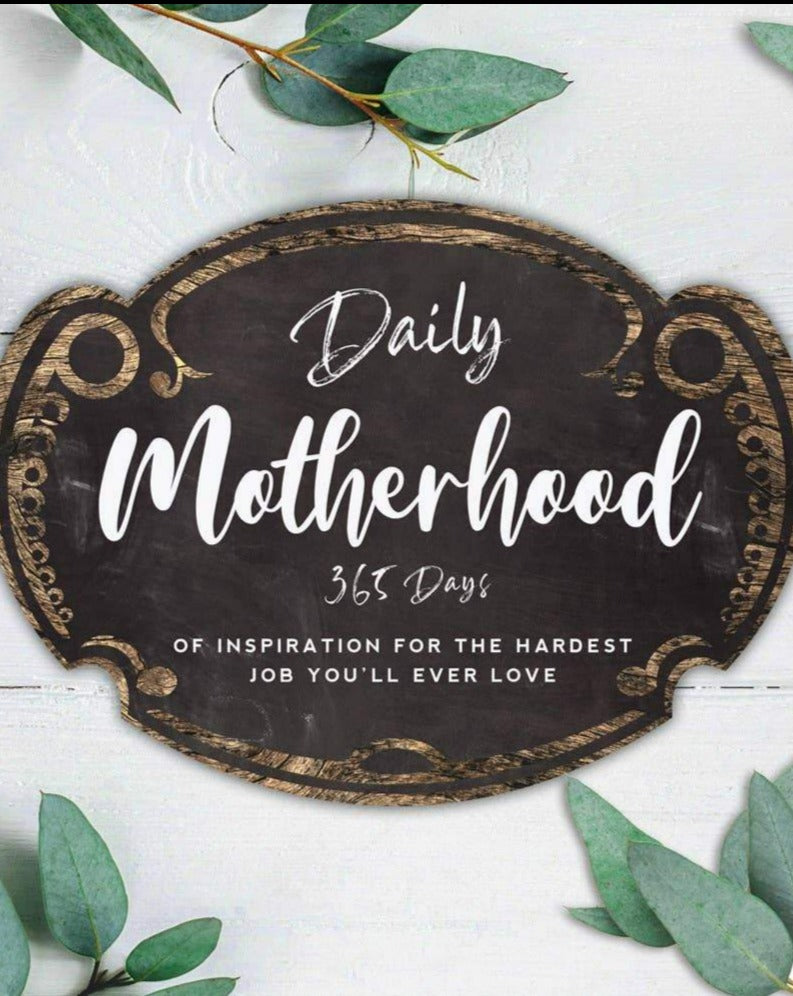 Daily Motherhood Children's Book Familius, LLC   