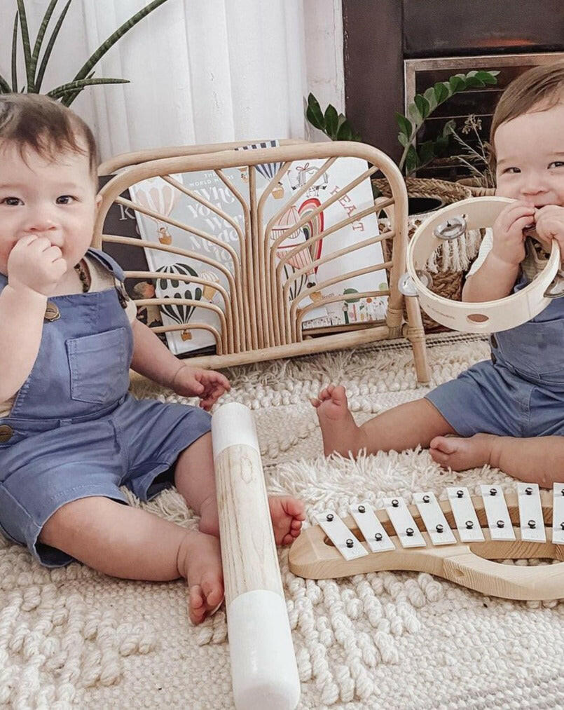 Rain Maker Musical Toys Babynoise   