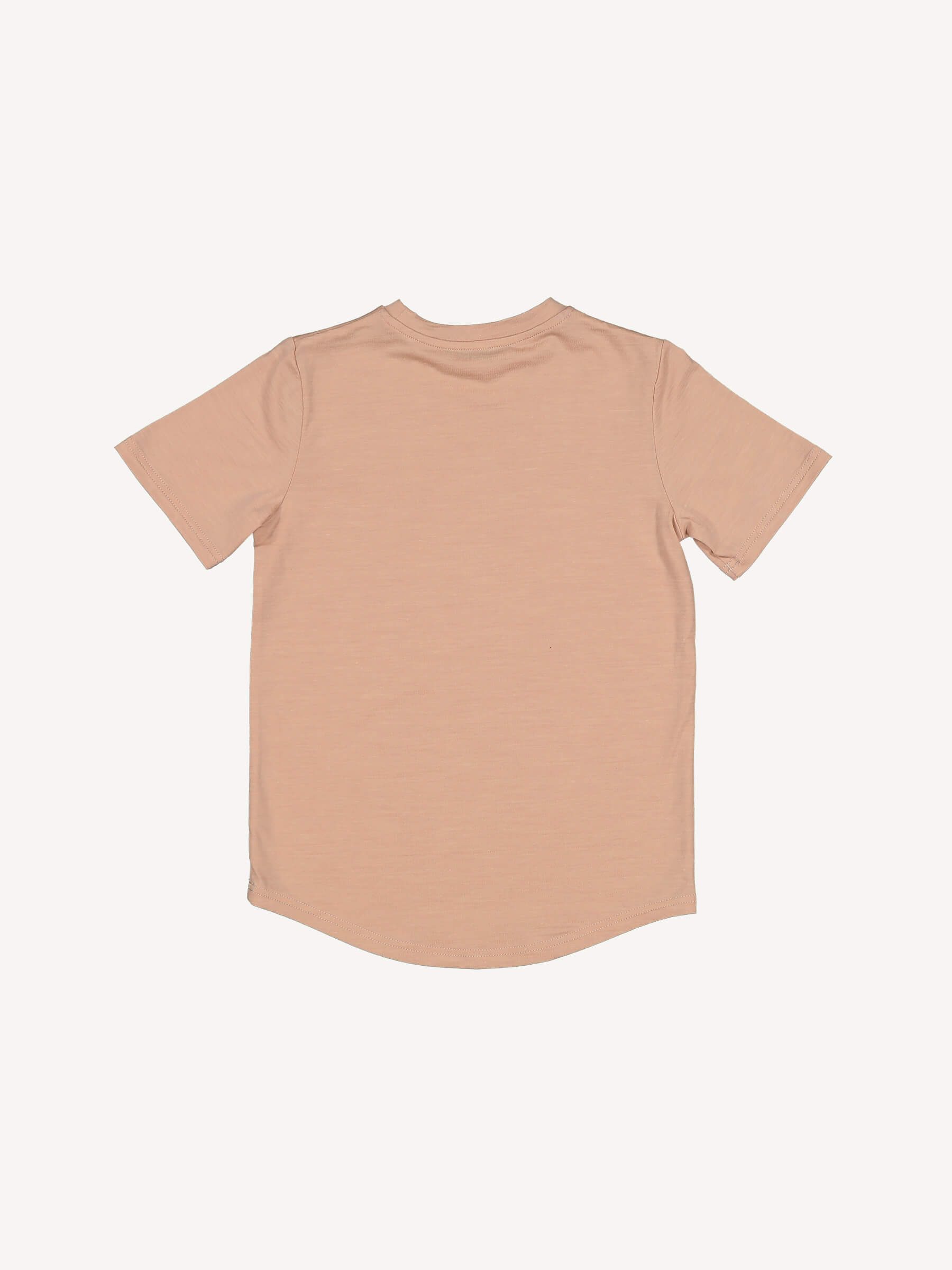 Child Salus Tee Mushroom child tops Nui Organics 2y  