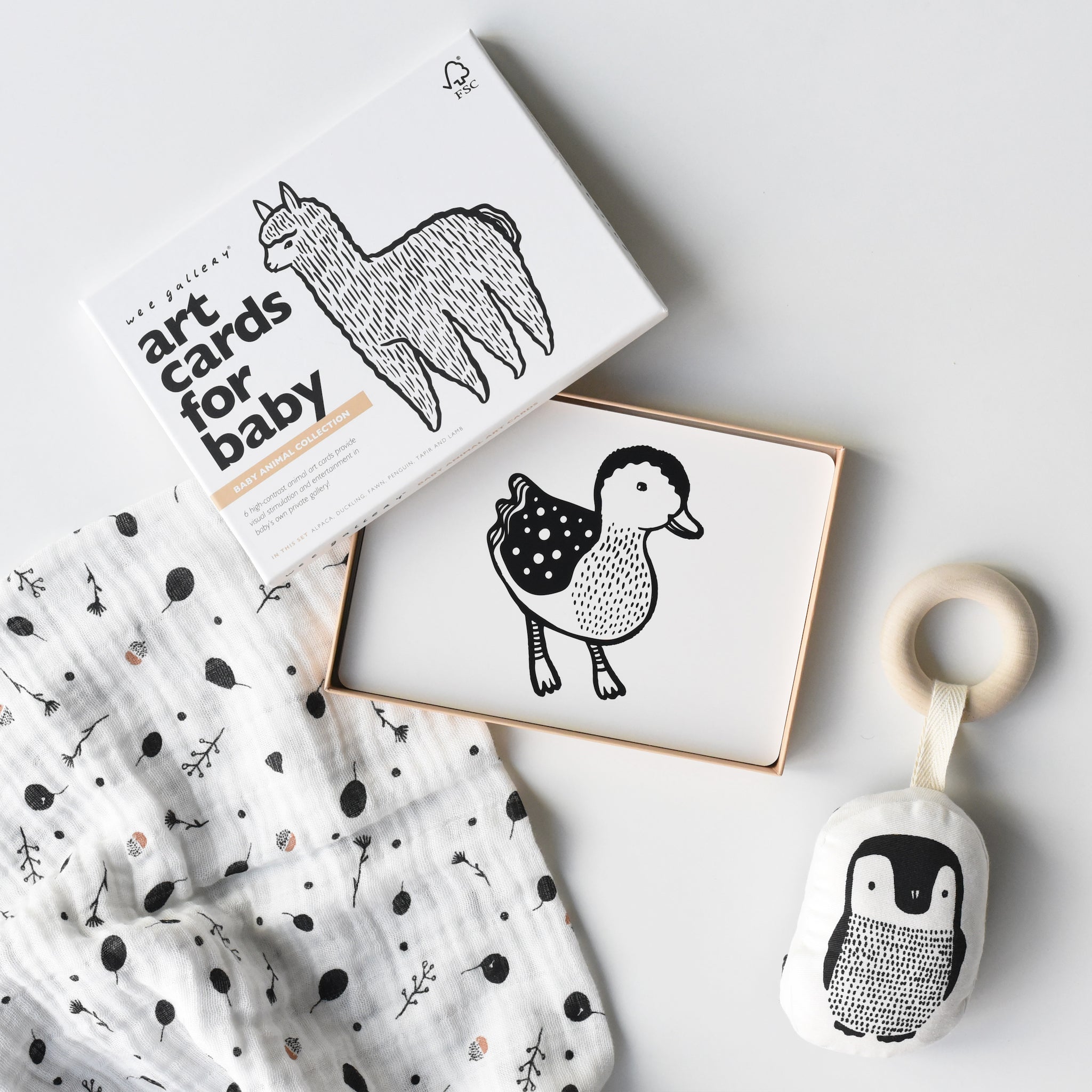 Little Naturalist Gift Set - Baby Animals Gift Sets Wee Gallery   