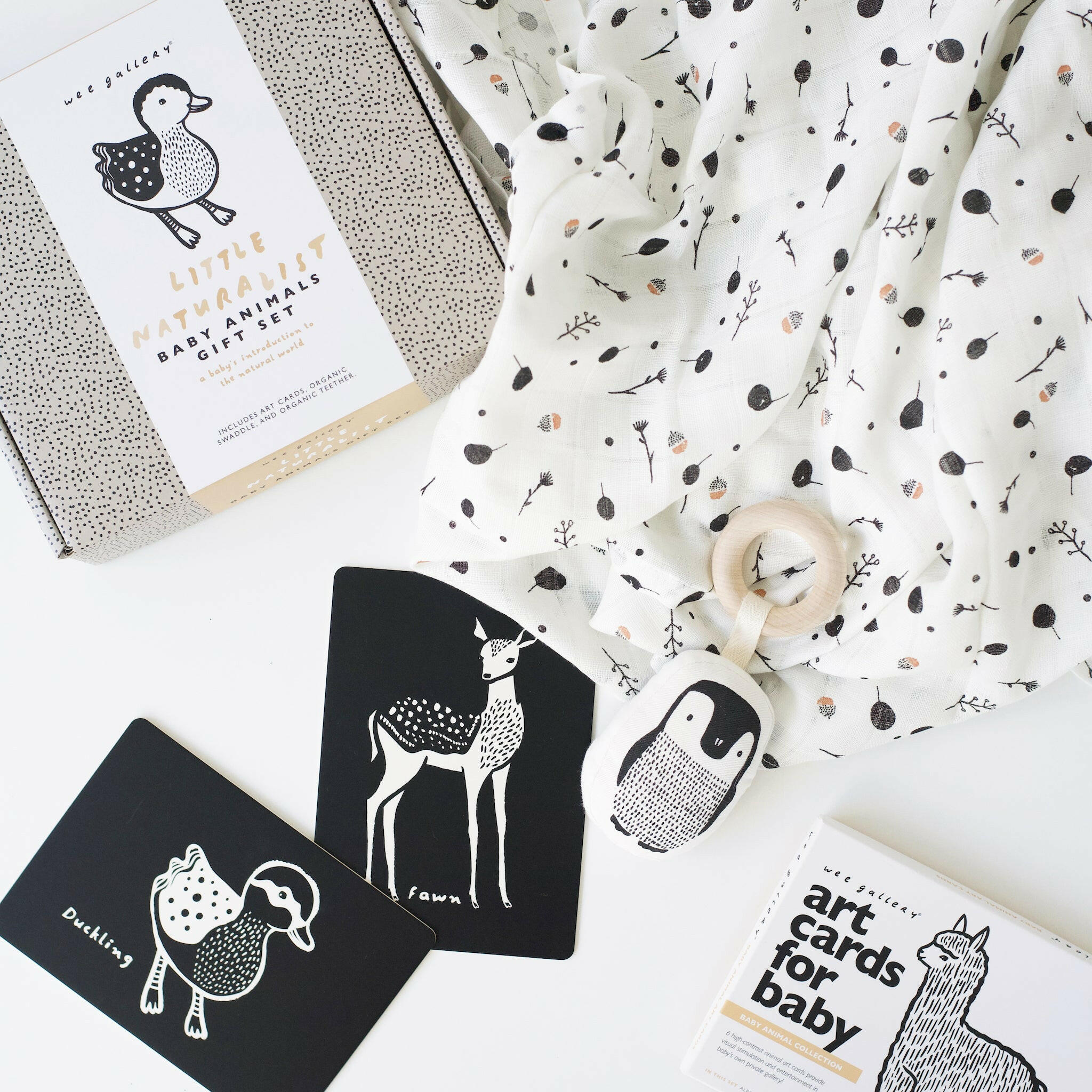 Little Naturalist Gift Set - Baby Animals Gift Sets Wee Gallery   