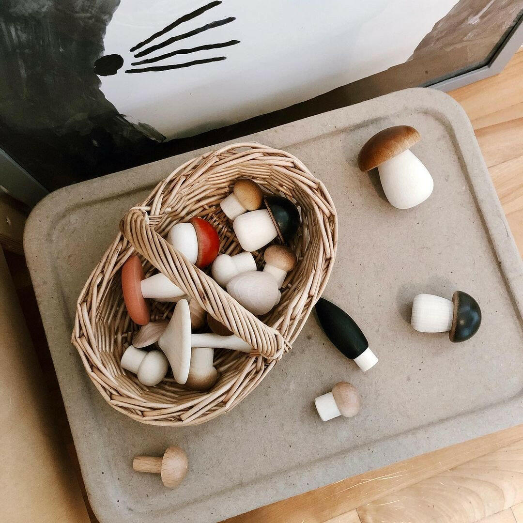 Forest Mushrooms in a Box Educational Toys Moon Picnic   