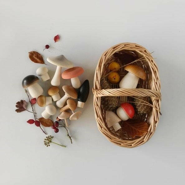 Forest Mushrooms in a Box Educational Toys Moon Picnic   