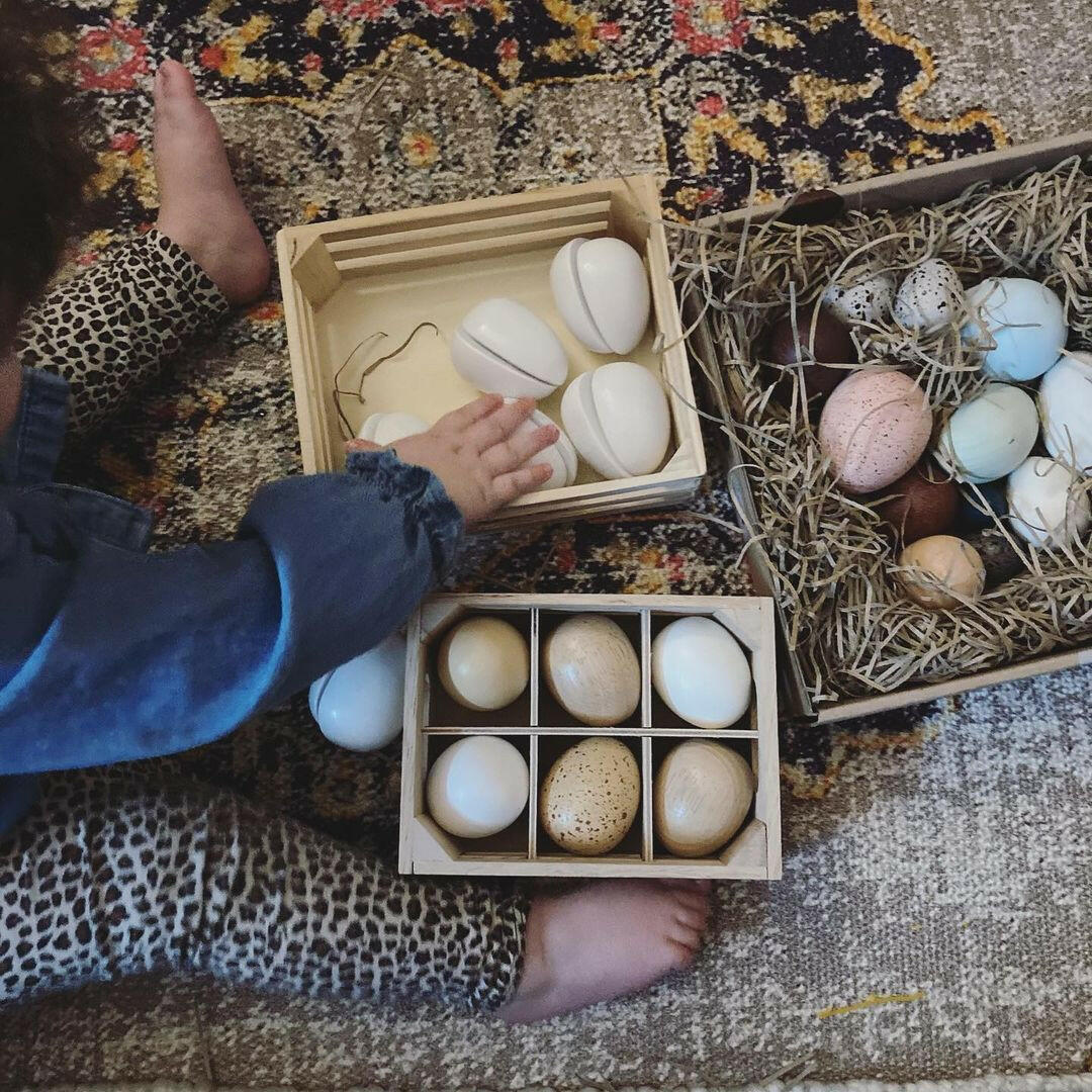 A Dozen Bird Eggs in a Box Educational Toys Moon Picnic   