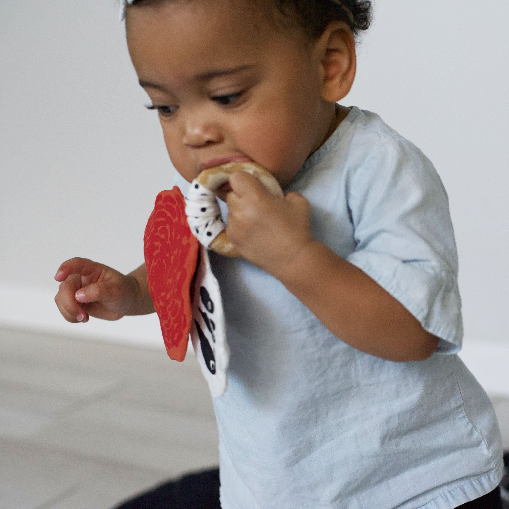 Crinkle Teether - Butterfly Teethers Wee Gallery   