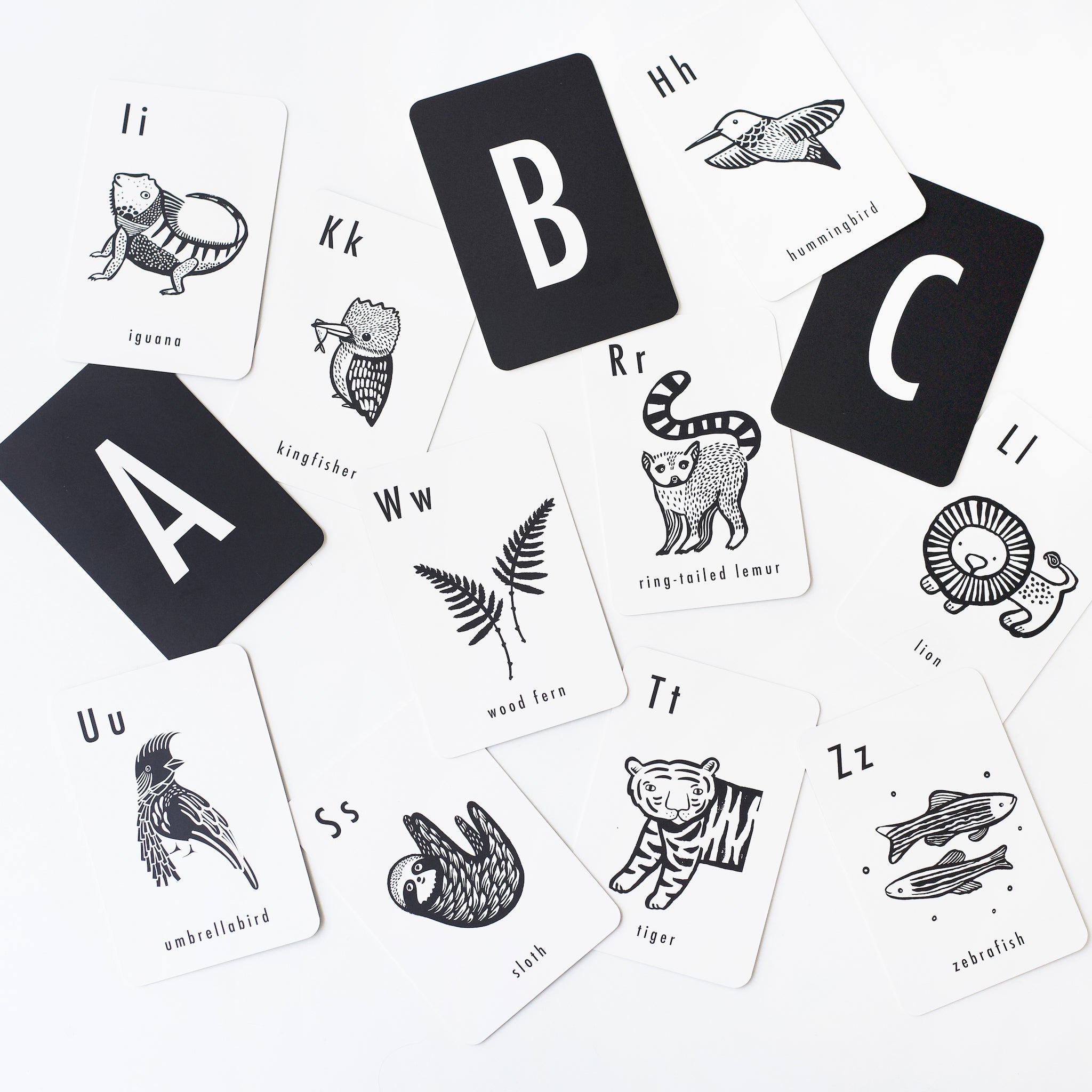 Jungle Alphabet Cards Learning Cards Wee Gallery   