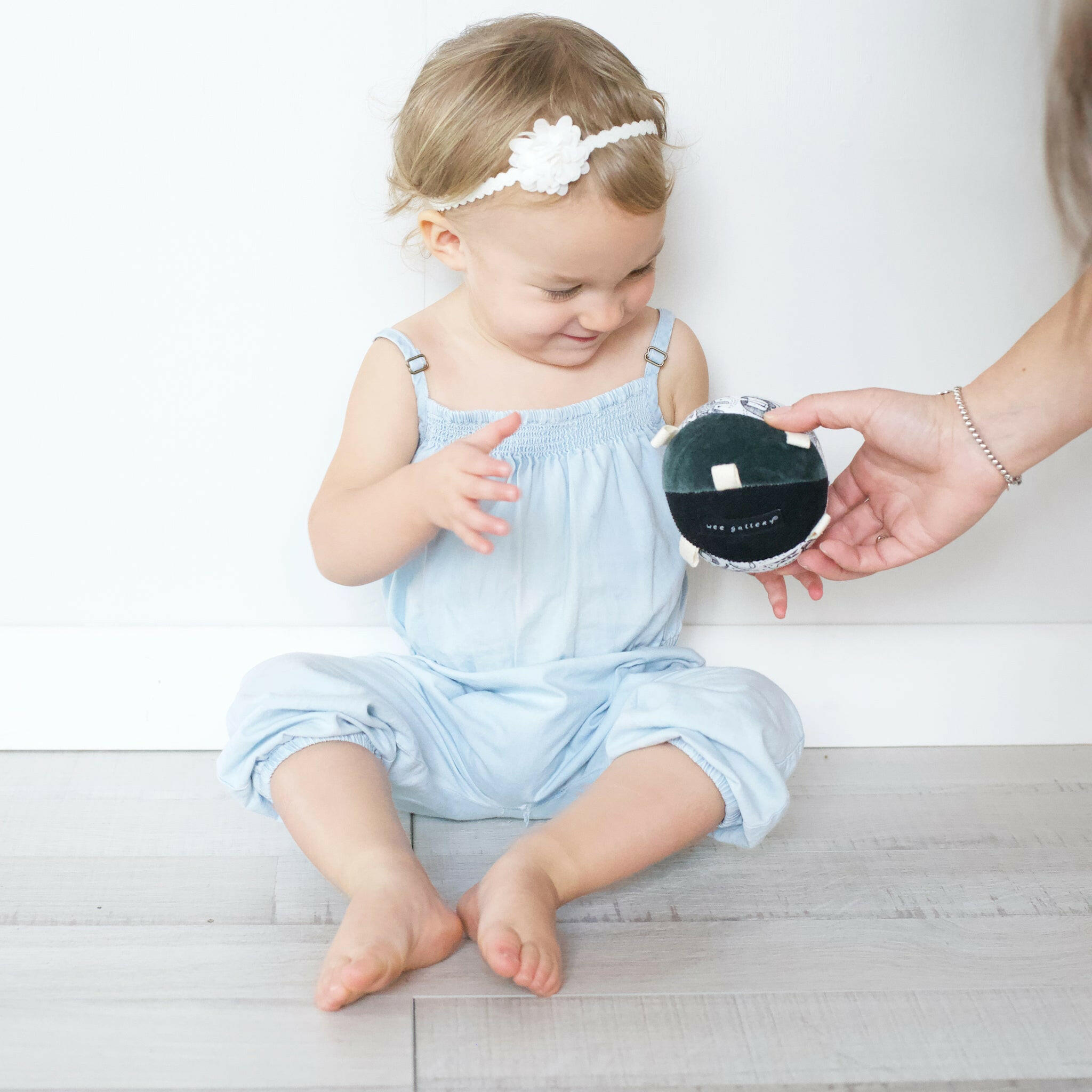 Taggy Ball with Rattle - Wild Toys Wee Gallery   